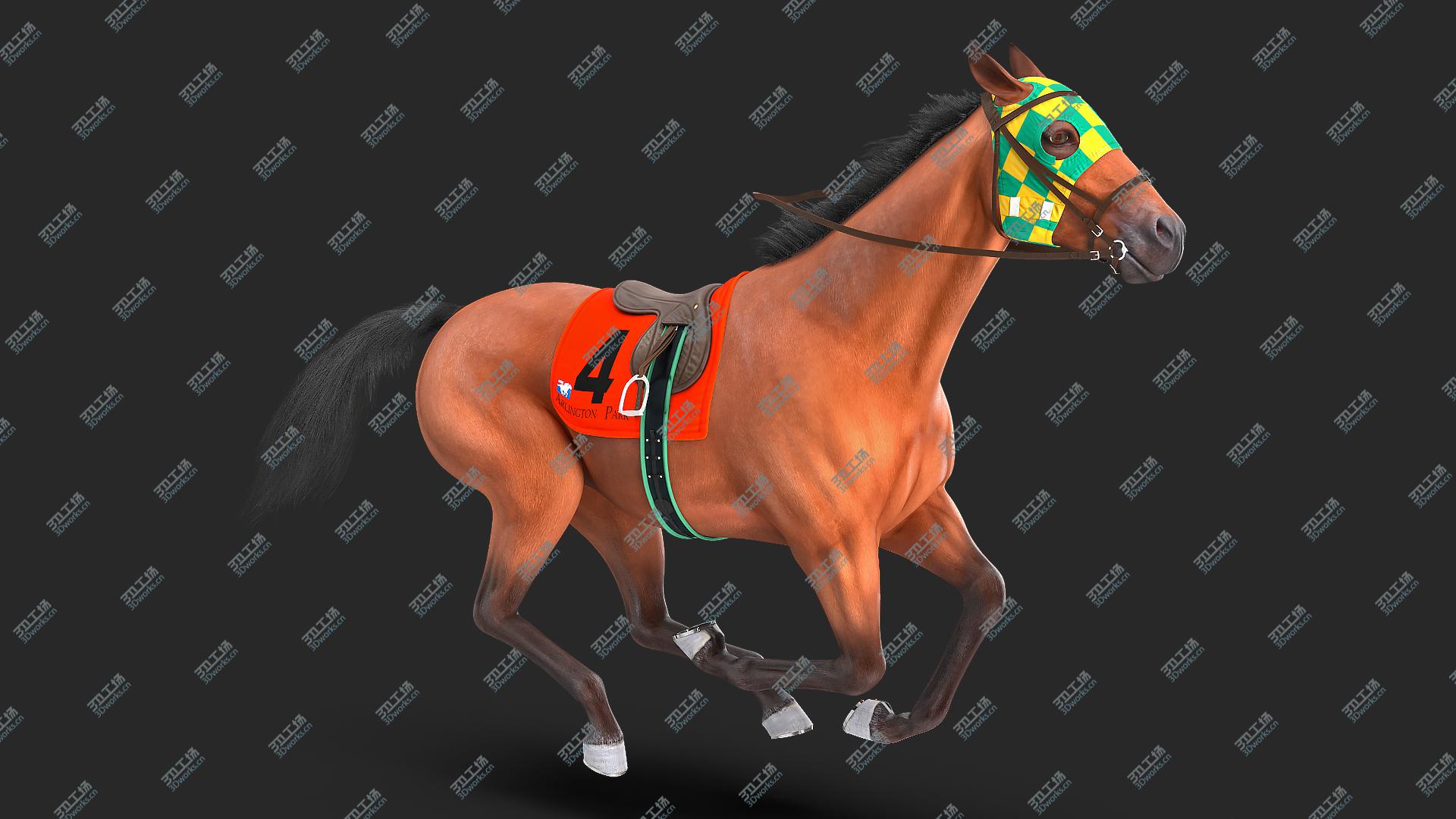 images/goods_img/20210313/3D Bay Racehorse Fur Rigged/2.jpg